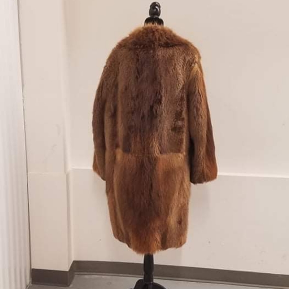 Beaver fur - Picture 4 of 5